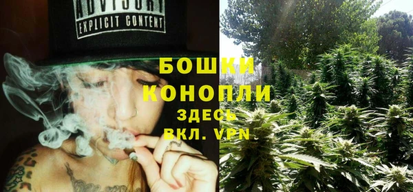 крисы Арсеньев