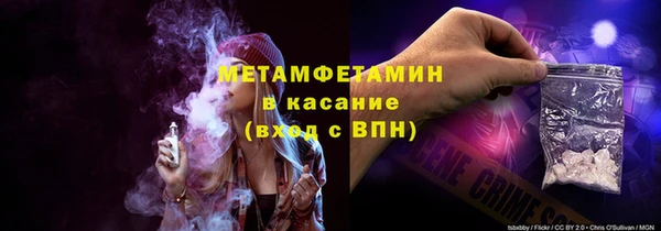 индика Медвежьегорск
