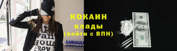 крисы Арсеньев