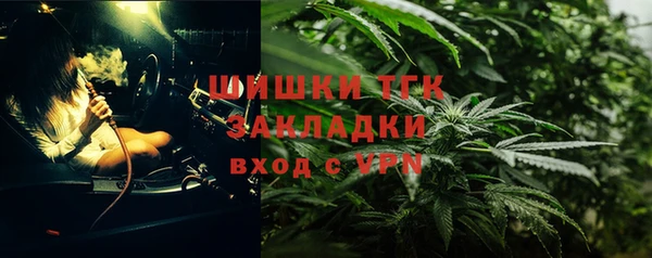 молекула духа Медногорск